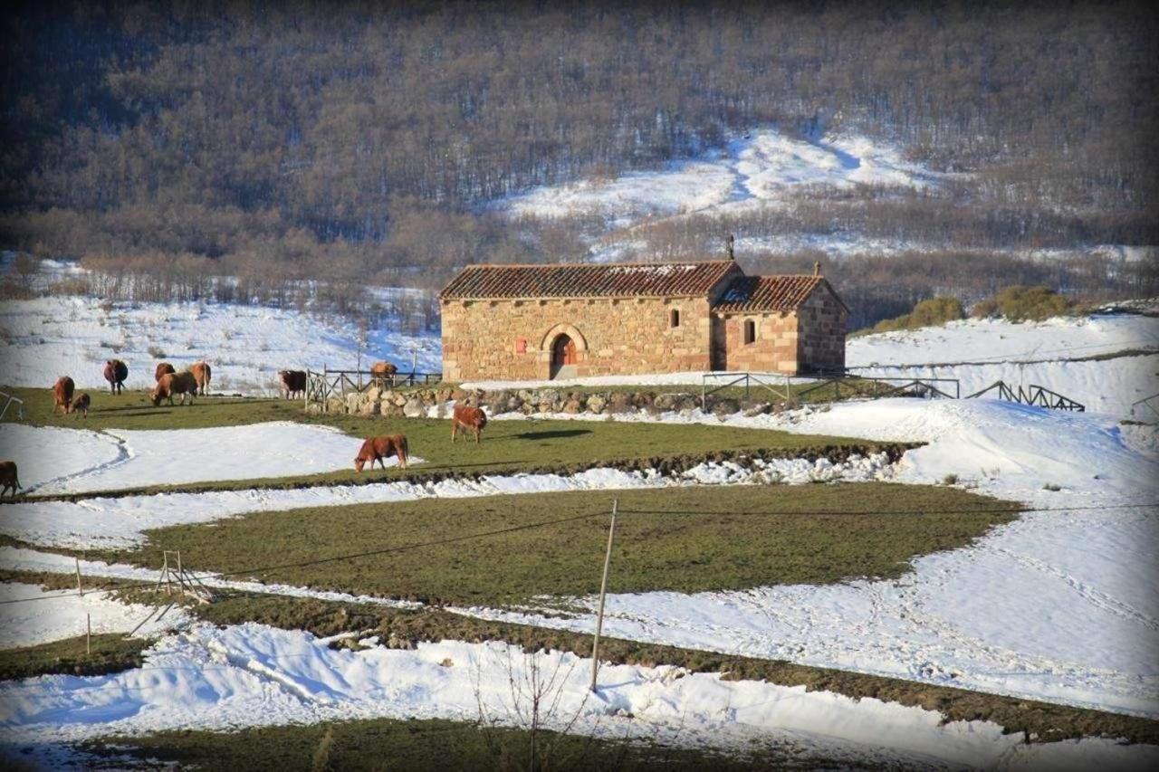 Casa Entrenidos Konuk evi Mudá Dış mekan fotoğraf